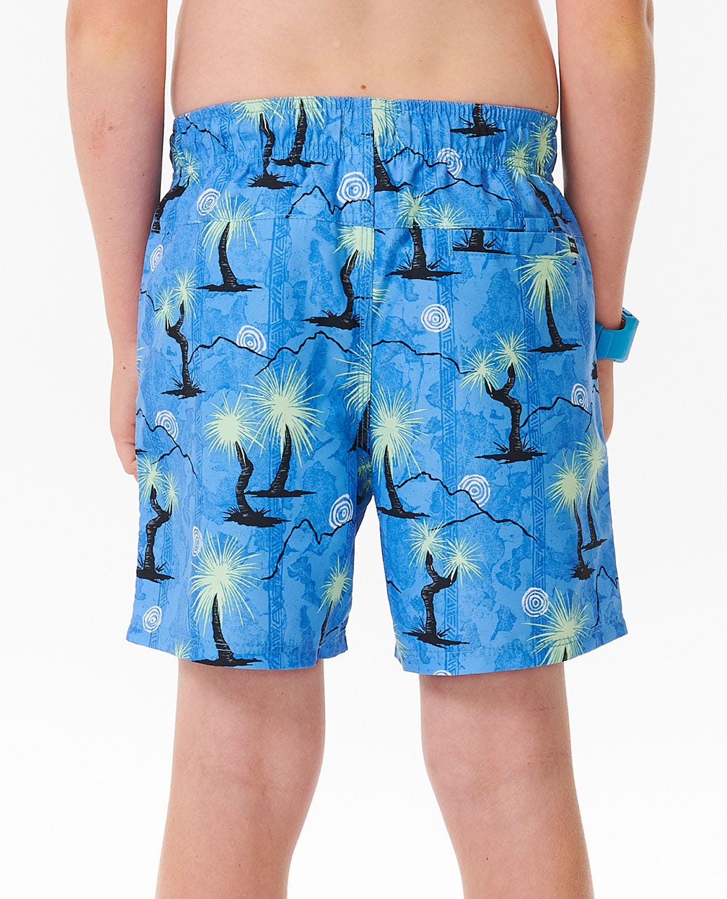 Shred Rock Volley Boardshorts - Boys (8-16 years)
