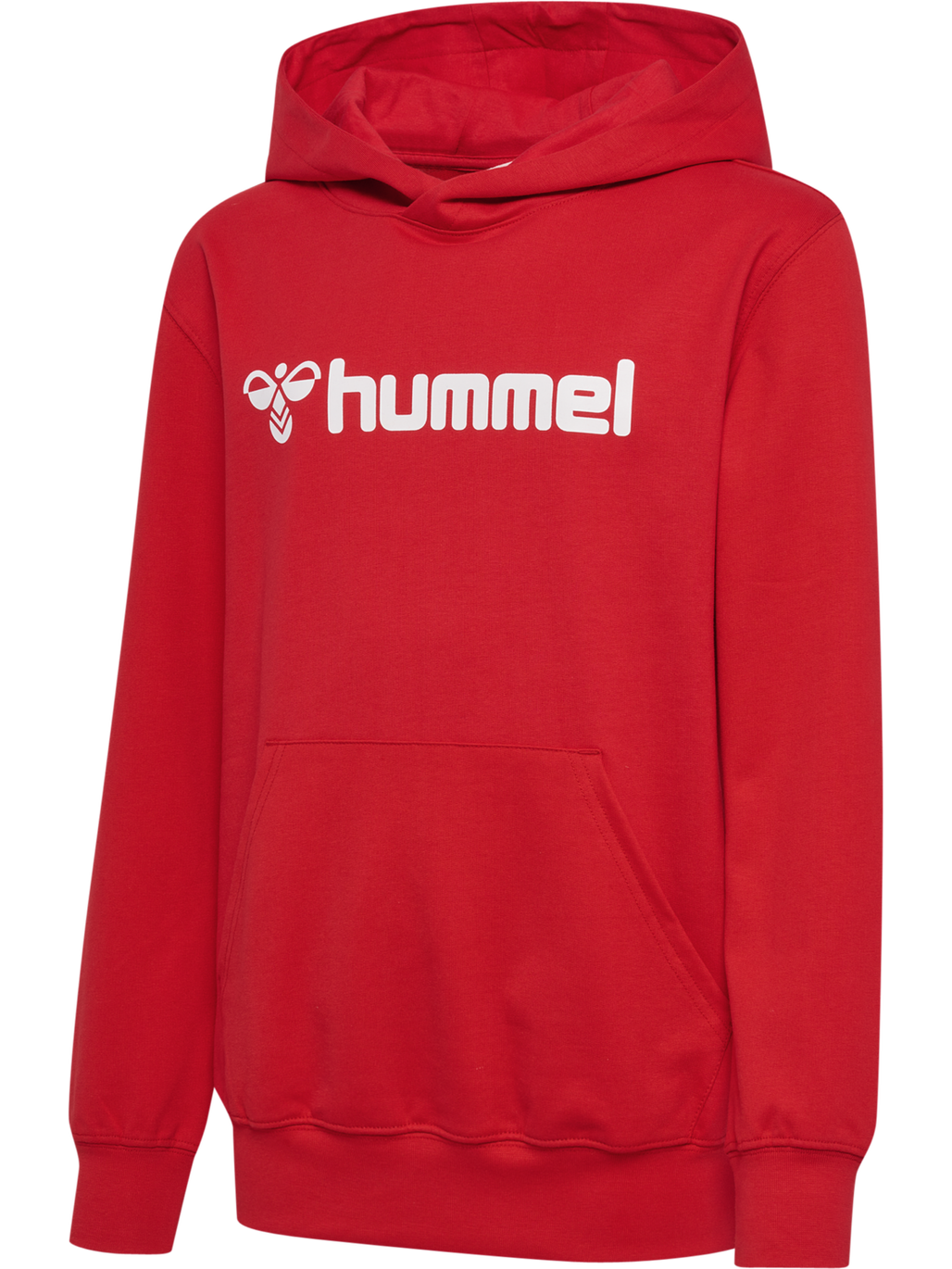 hmlGO 2.0 LOGO HOODIE KIDS
