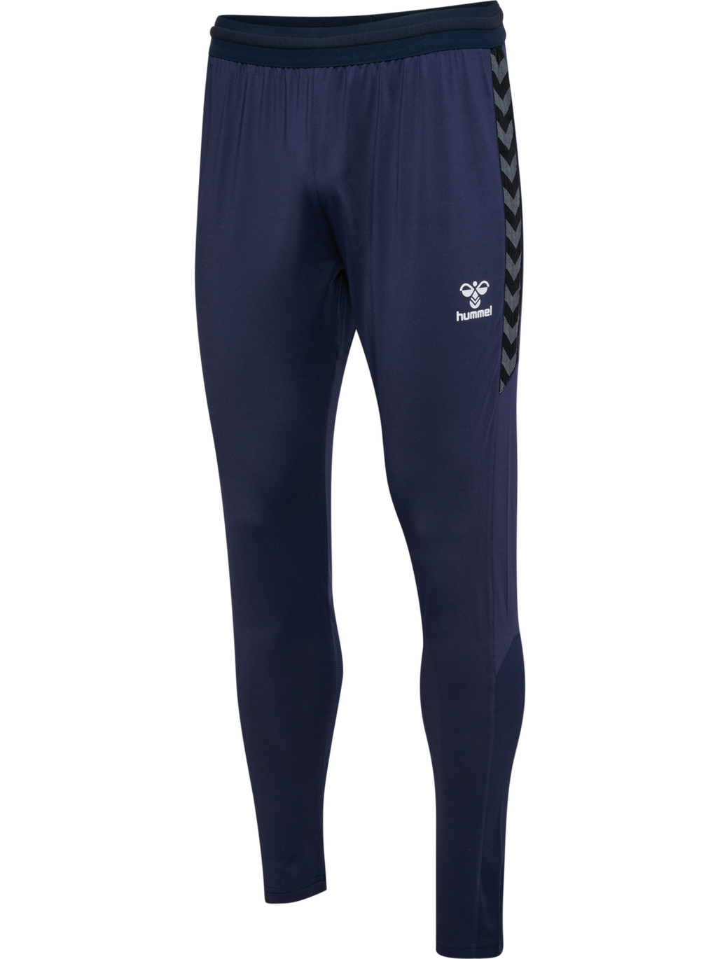 hmlAUTHENTIC PRO PANTS