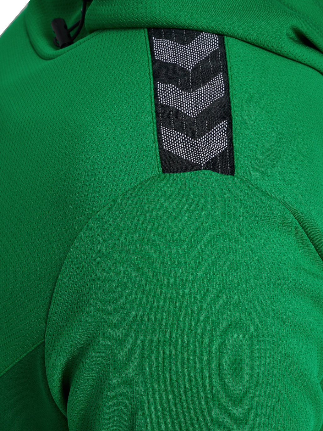 hmlAUTHENTIC PL HOODIE