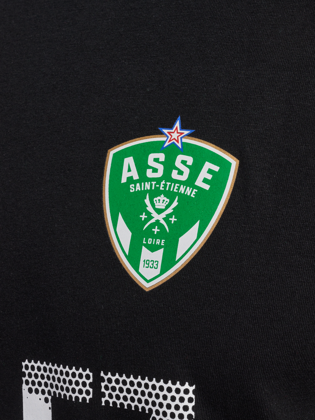 ASSE FAN ALLEZ LES VERTS TEE