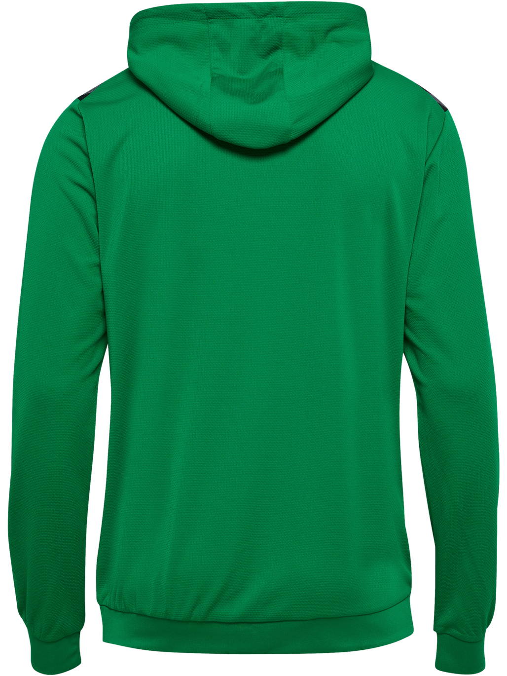 hmlAUTHENTIC PL HOODIE