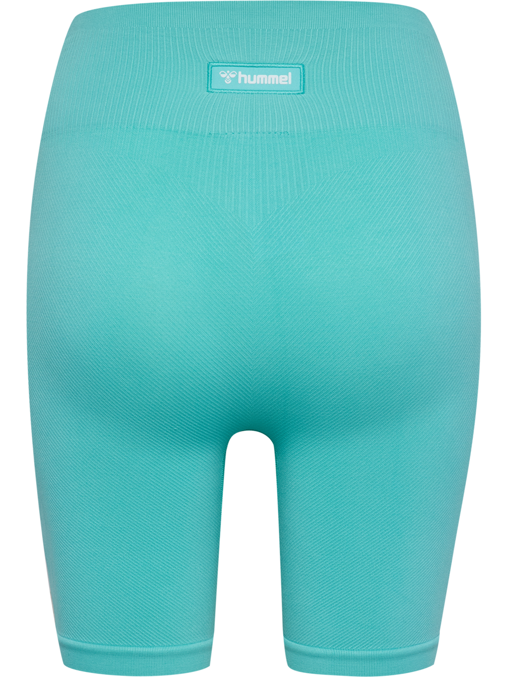 hmlALIVE SEAMLESS HIGH WAIST SHORTS