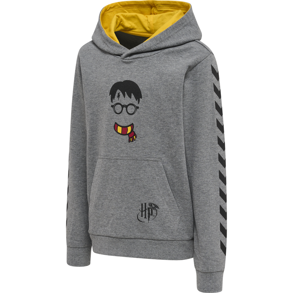 hmlHARRY POTTER CUATRO HOODIE
