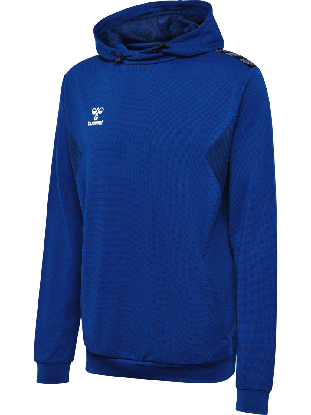 hmlAUTHENTIC PL HOODIE