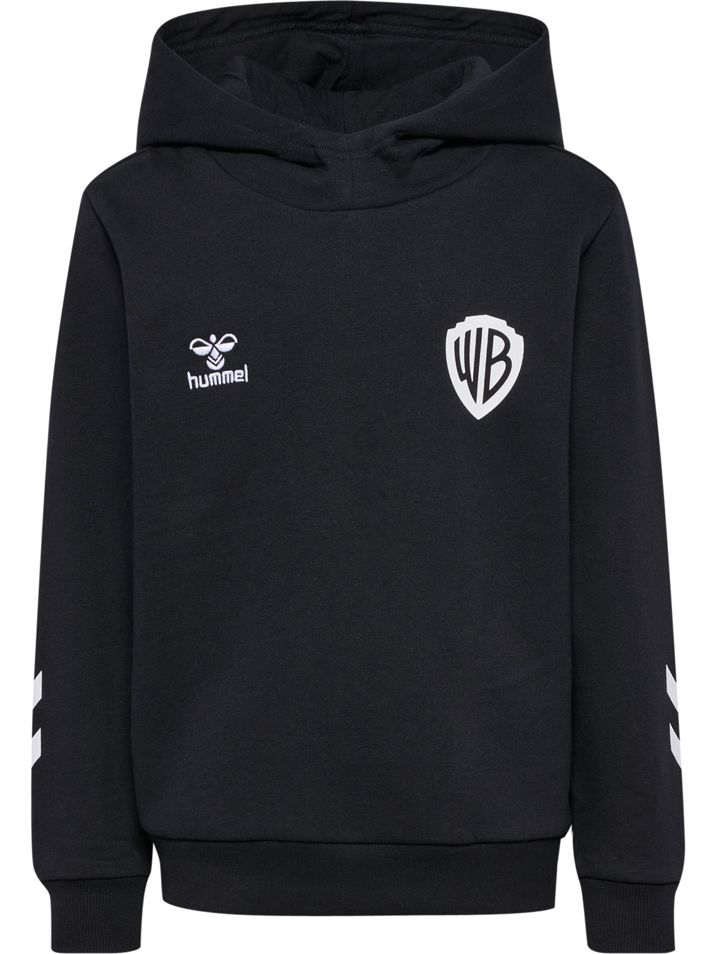 hmlCELEBRATING STORY HOODIE