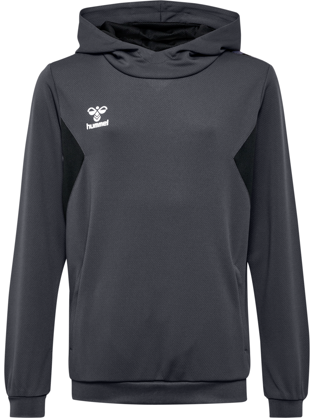 hmlAUTHENTIC PL HOODIE KIDS