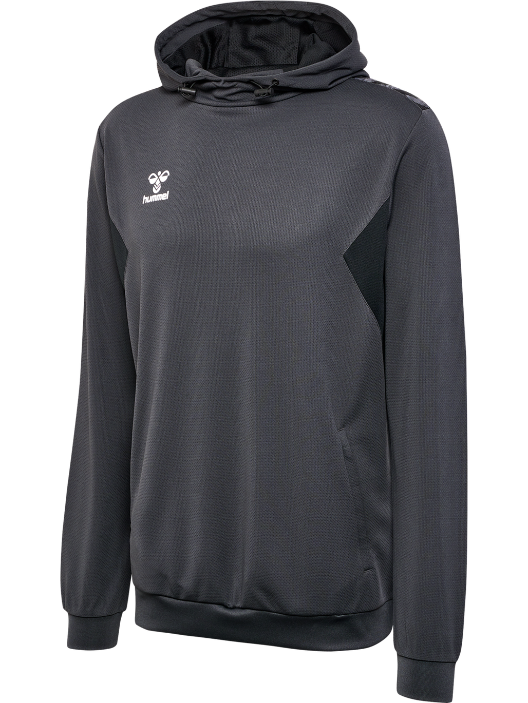 hmlAUTHENTIC PL HOODIE