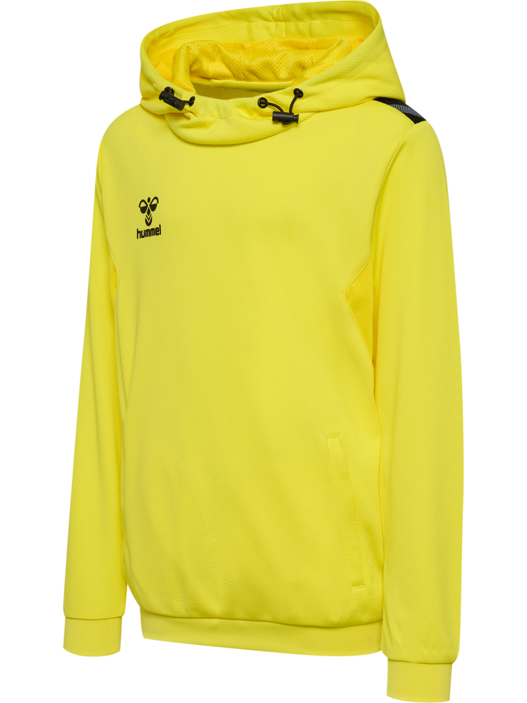 hmlAUTHENTIC PL HOODIE KIDS