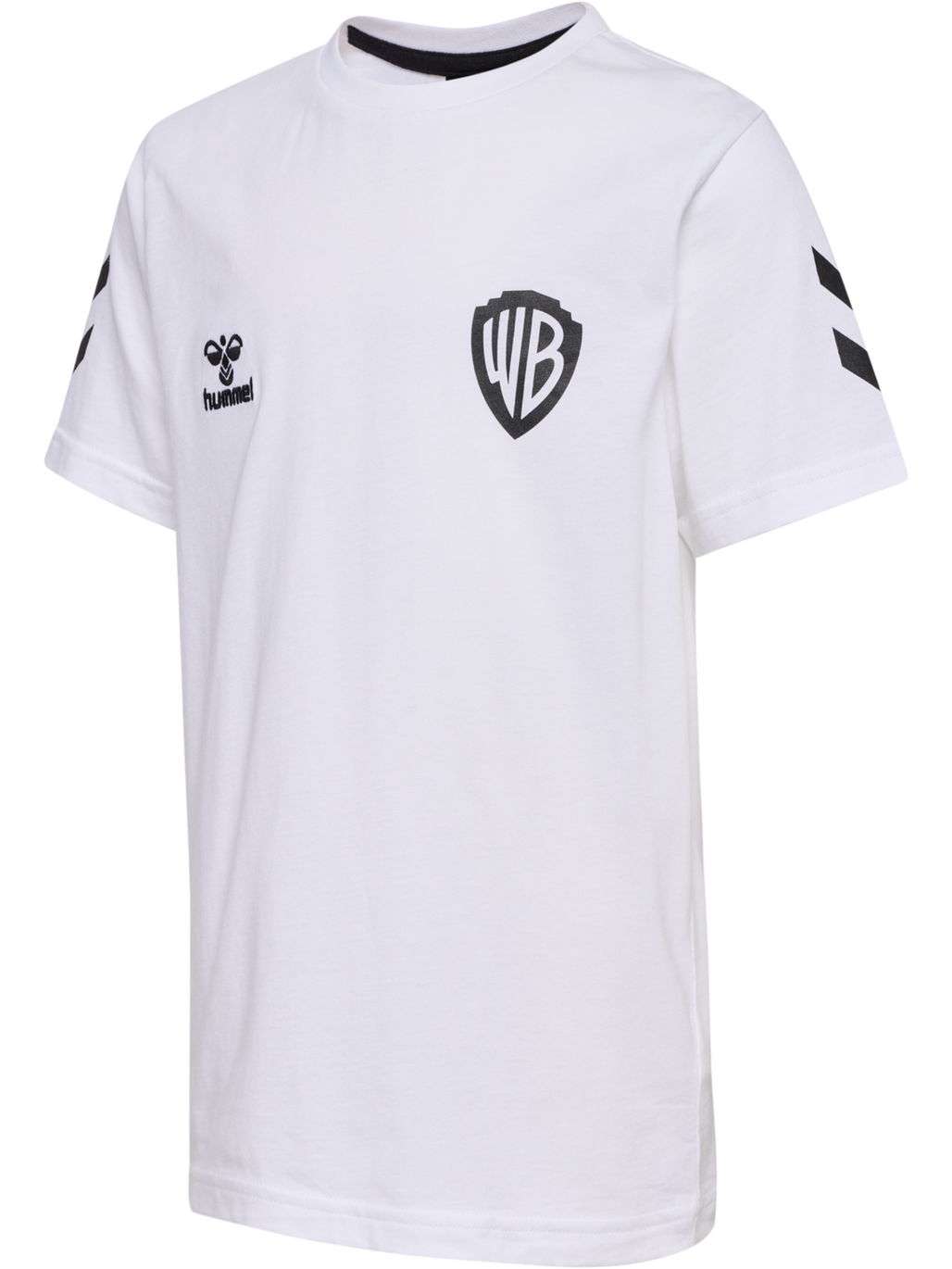 hmlCELEBRATING STORY T-SHIRT S/S