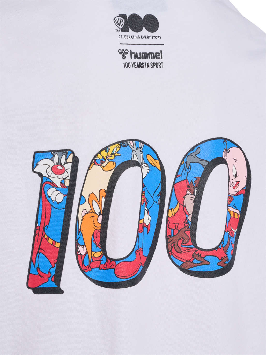 hmlCELEBRATING STORY T-SHIRT S/S