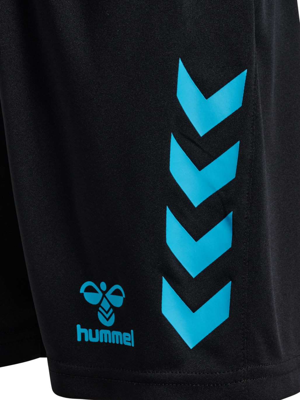 hmlGRAPHIC UNIVERSE SHORTS KIDS