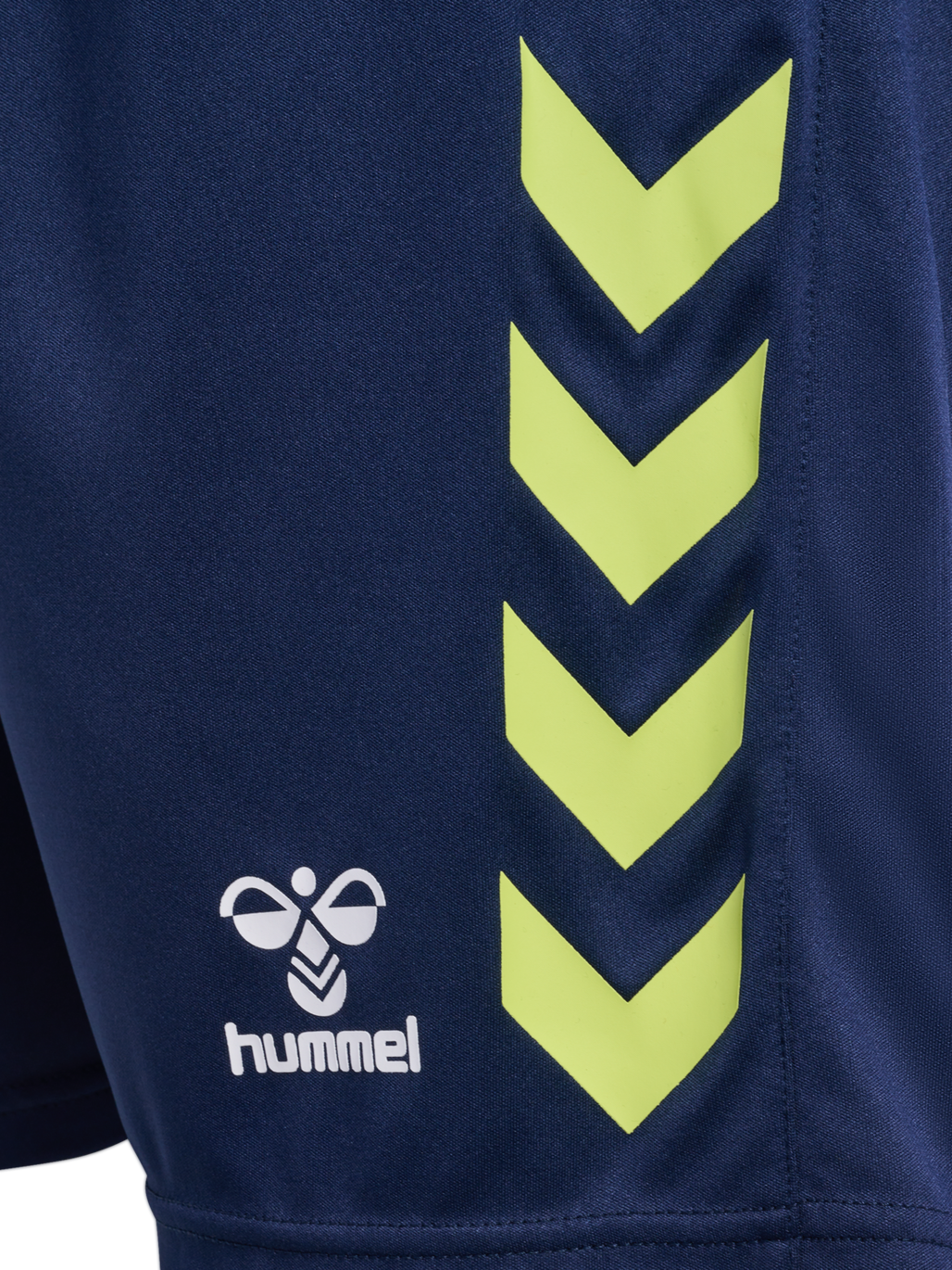 hmlGRAPHIC UNIVERSE SHORTS