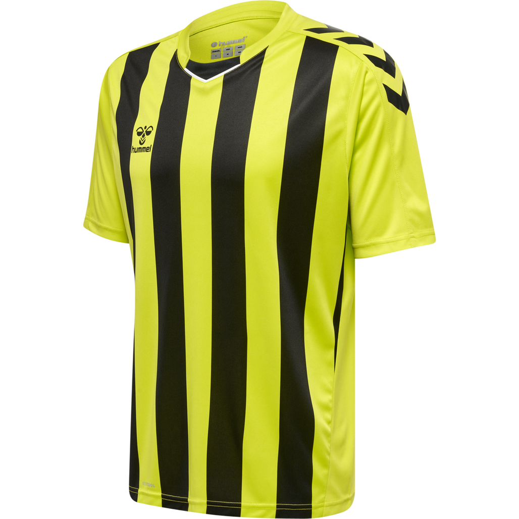 hmlCORE XK STRIPED JERSEY S/S