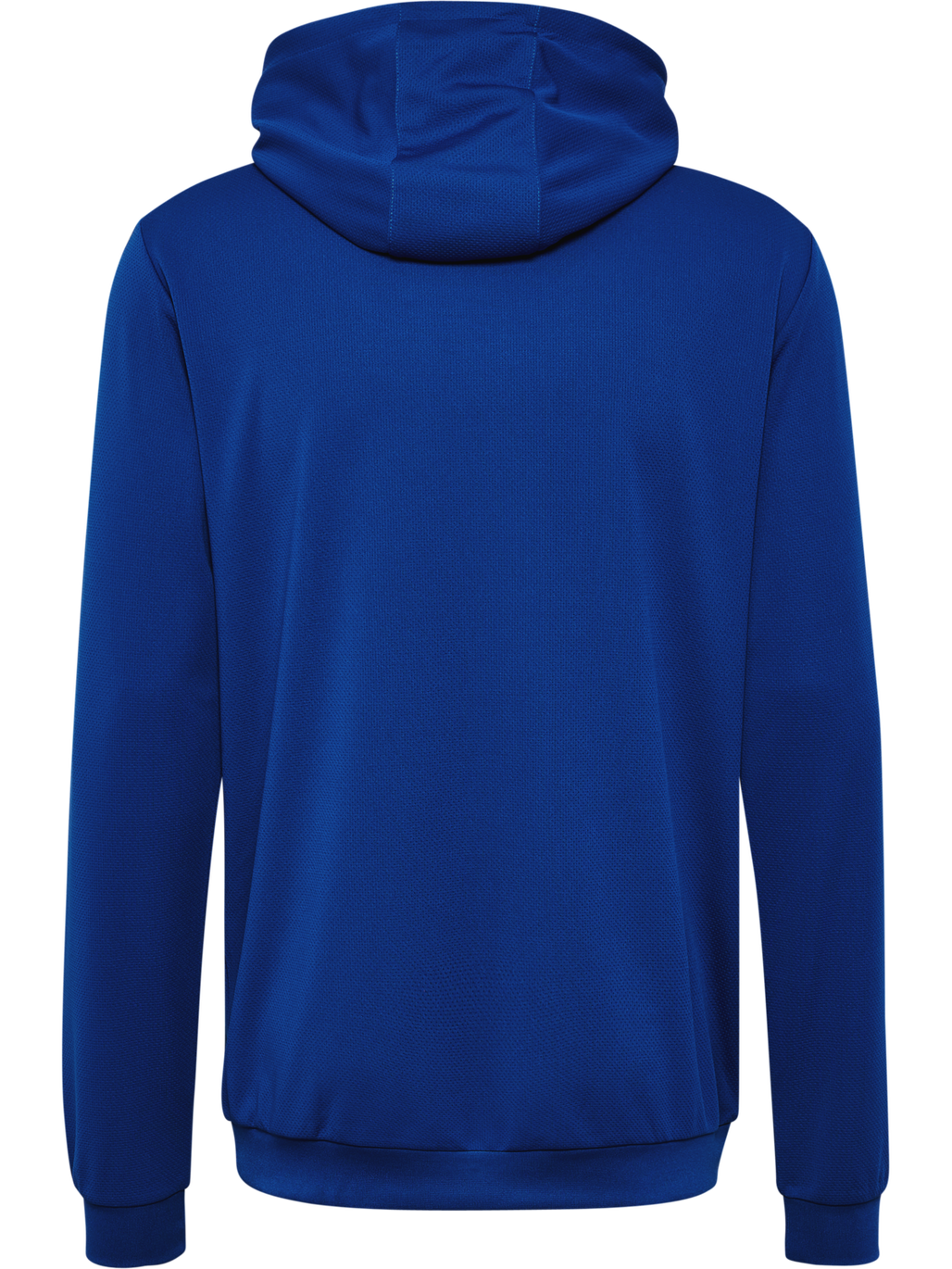 hmlAUTHENTIC PL HOODIE