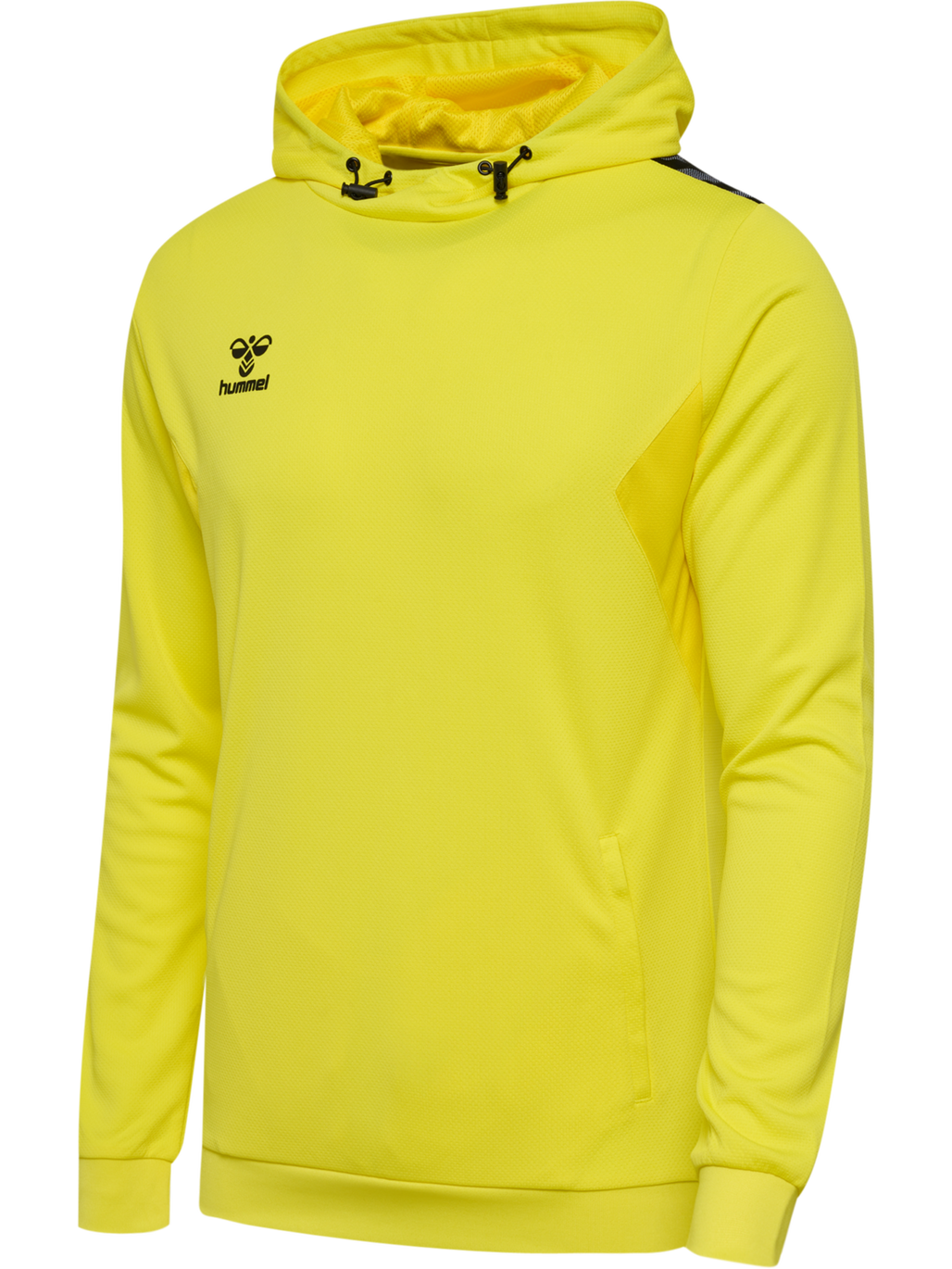 hmlAUTHENTIC PL HOODIE