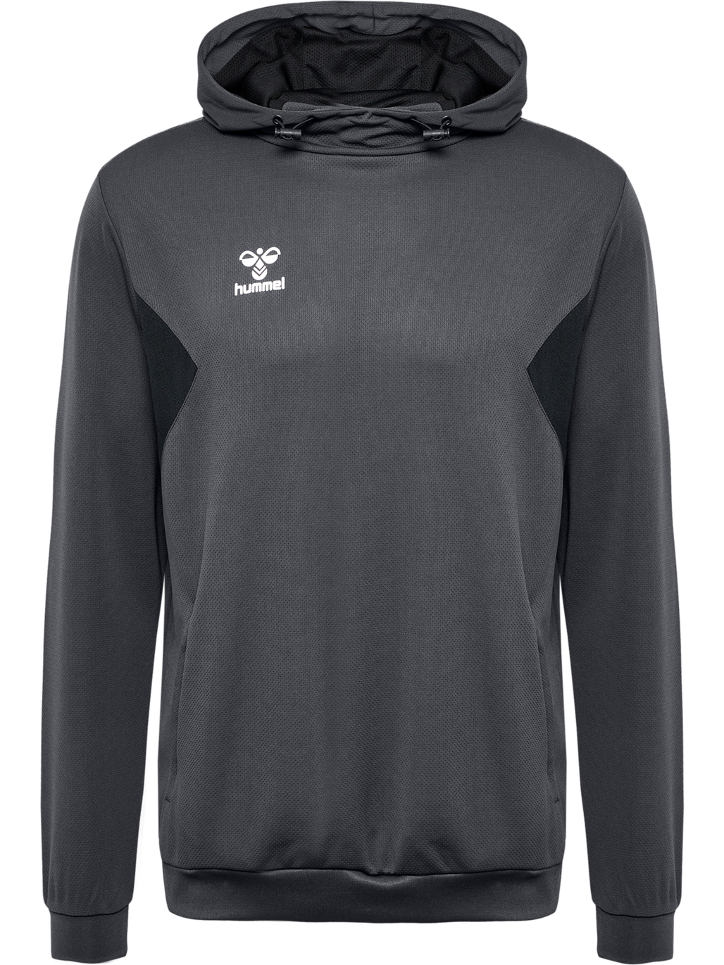 hmlAUTHENTIC PL HOODIE