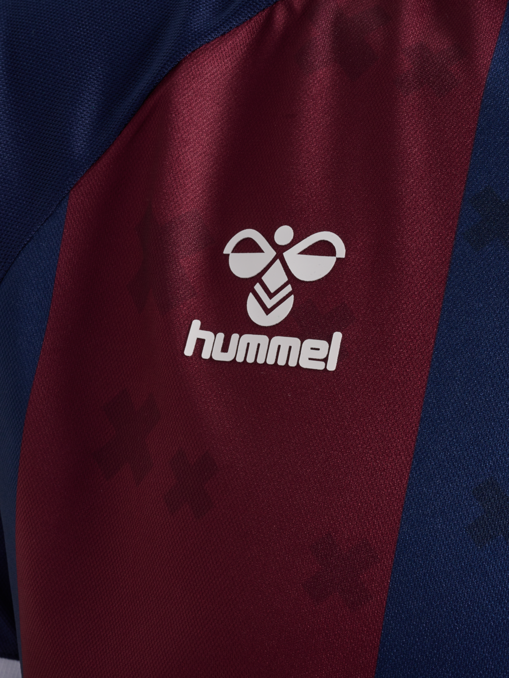 SDE 24/25 IRON SOUL JERSEY S/S