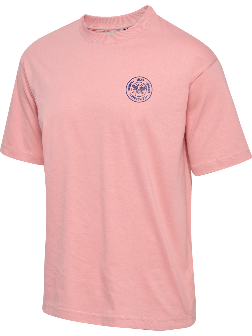 hmlSWARM LOOSE T-SHIRT