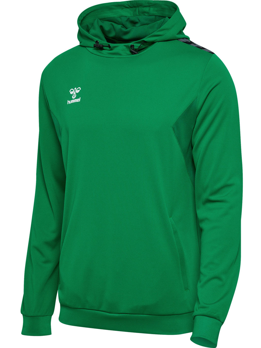 hmlAUTHENTIC PL HOODIE