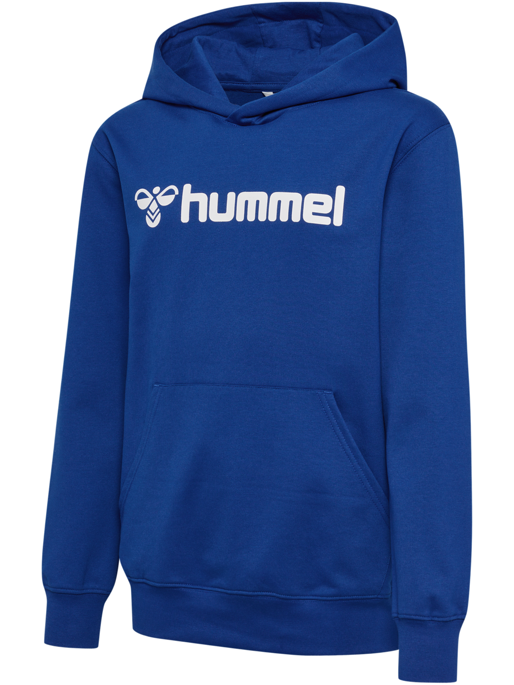 hmlGO 2.0 LOGO HOODIE KIDS