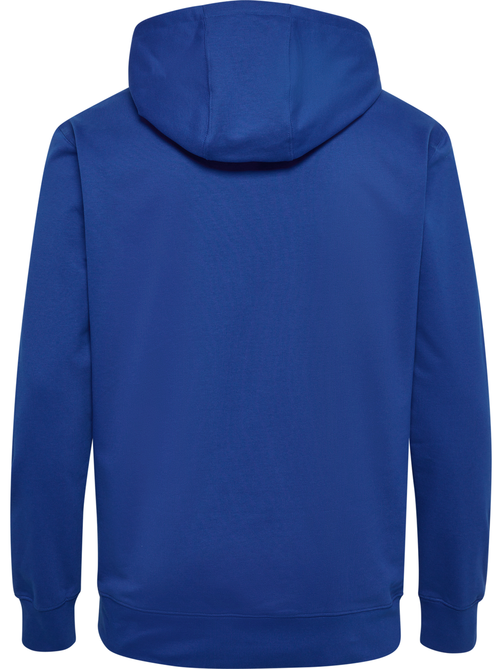 hmlGO 2.0 LOGO HOODIE