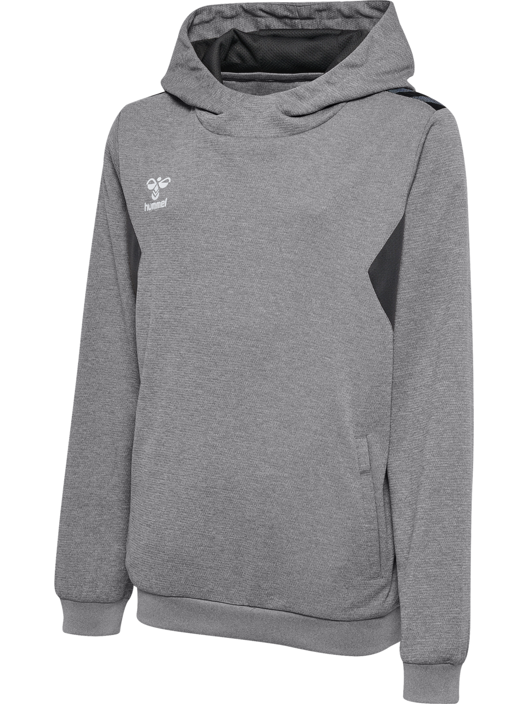 hmlAUTHENTIC PL HOODIE KIDS