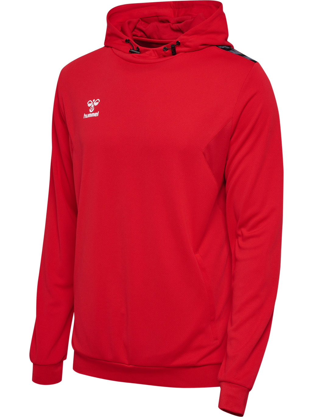 hmlAUTHENTIC PL HOODIE