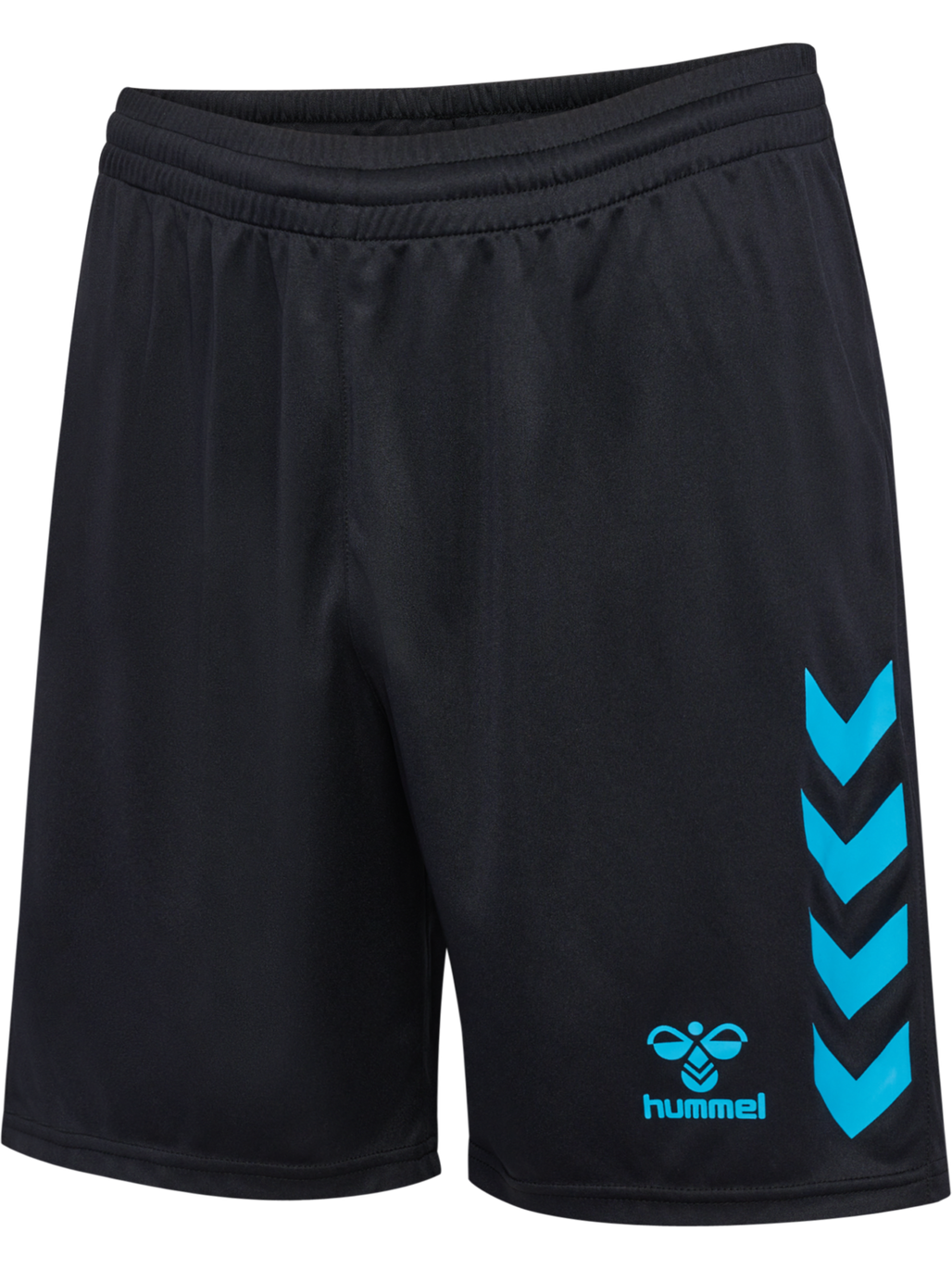 hmlGRAPHIC UNIVERSE SHORTS