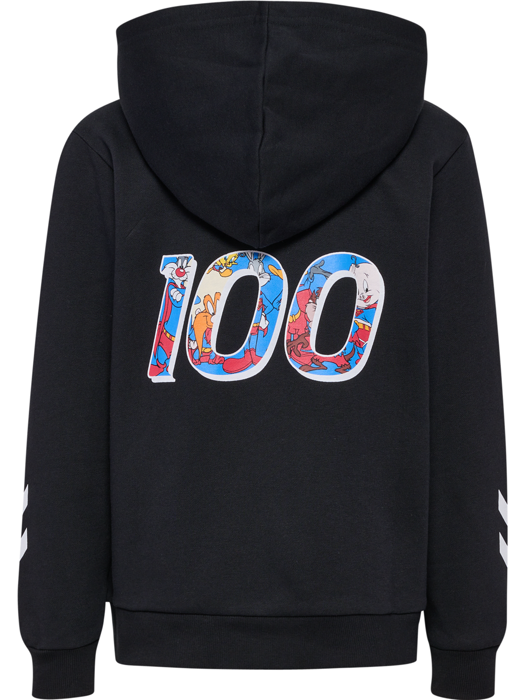 hmlCELEBRATING STORY HOODIE