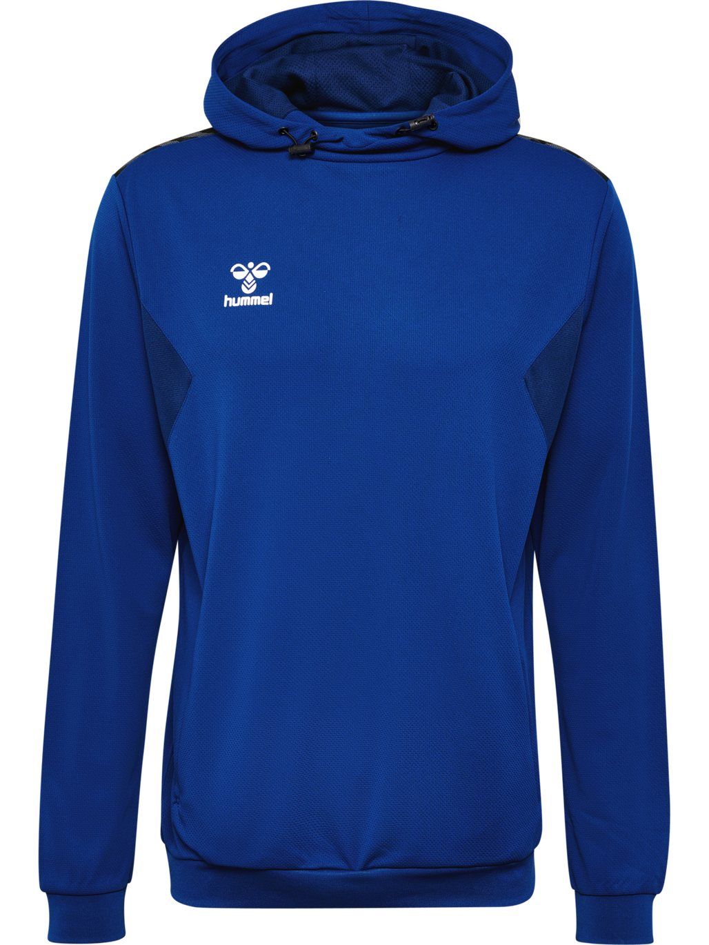 hmlAUTHENTIC PL HOODIE