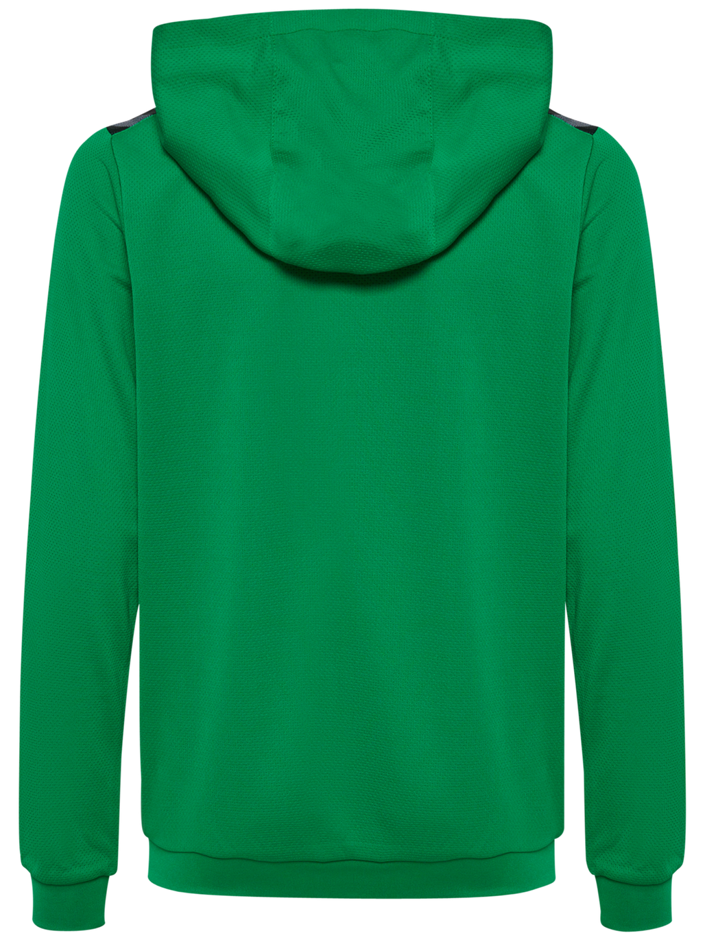 hmlAUTHENTIC PL HOODIE KIDS