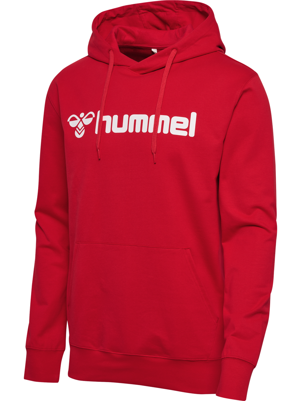hmlGO 2.0 LOGO HOODIE