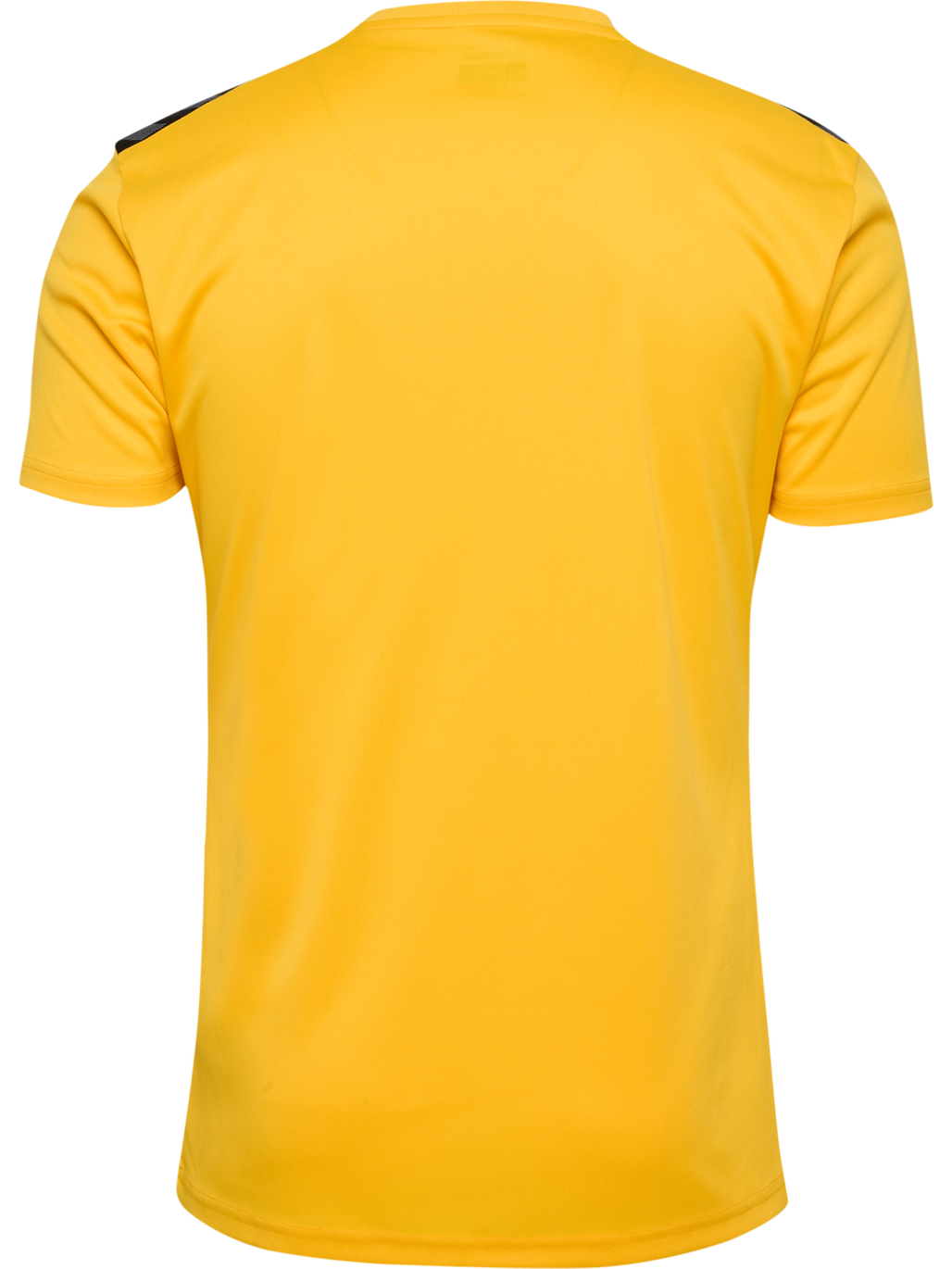 hmlAUTHENTIC PL JERSEY S/S