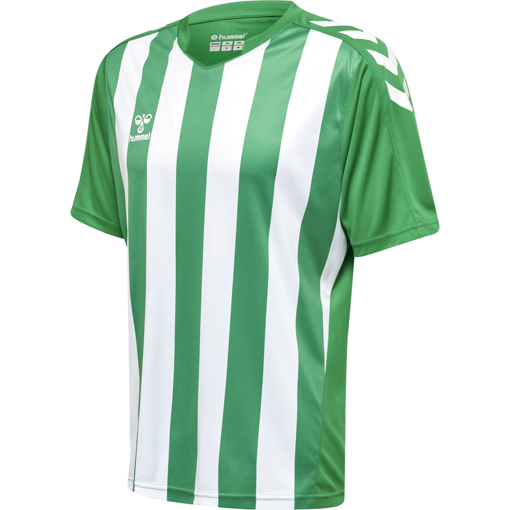 hmlCORE XK STRIPED JERSEY S/S