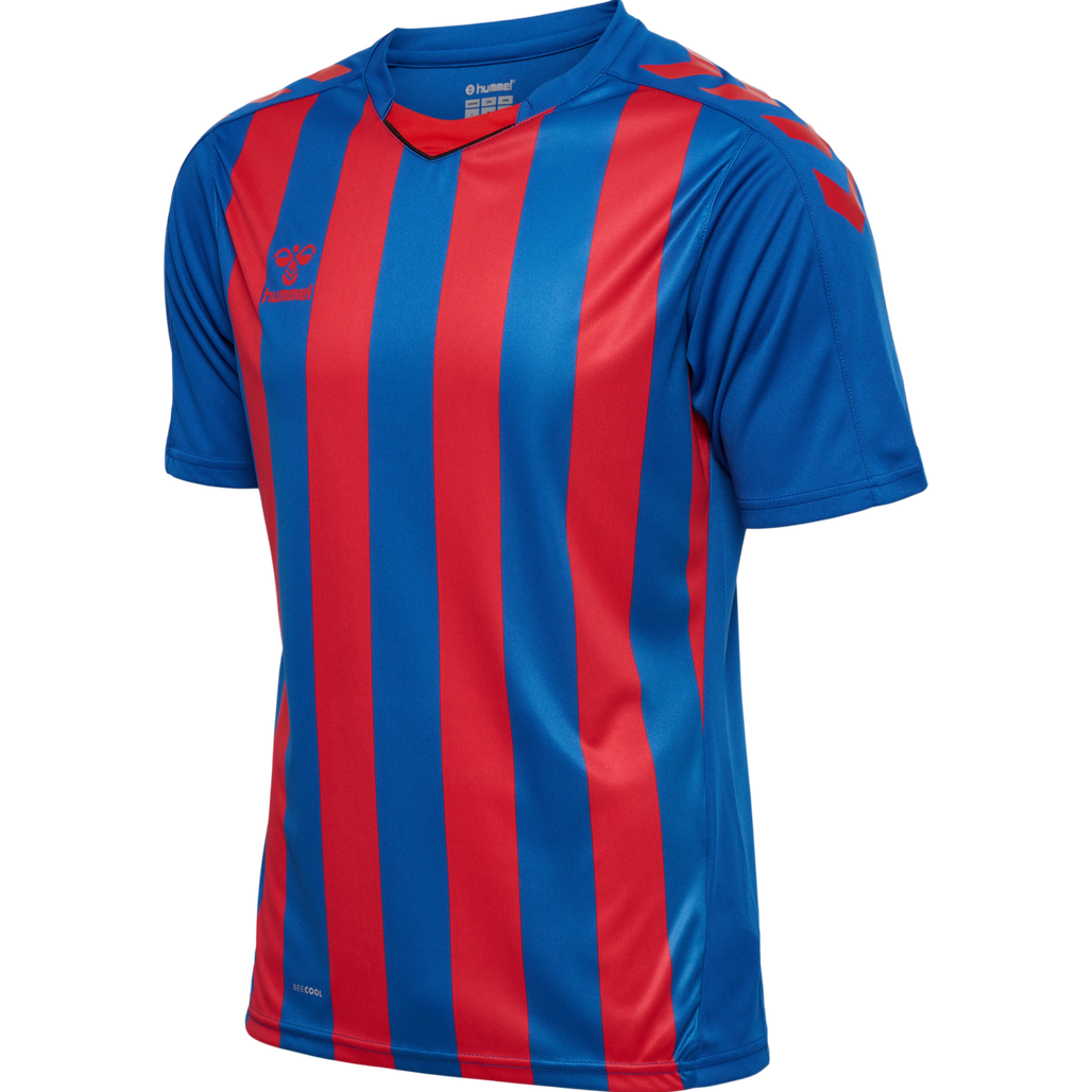 hmlCORE XK STRIPED JERSEY S/S