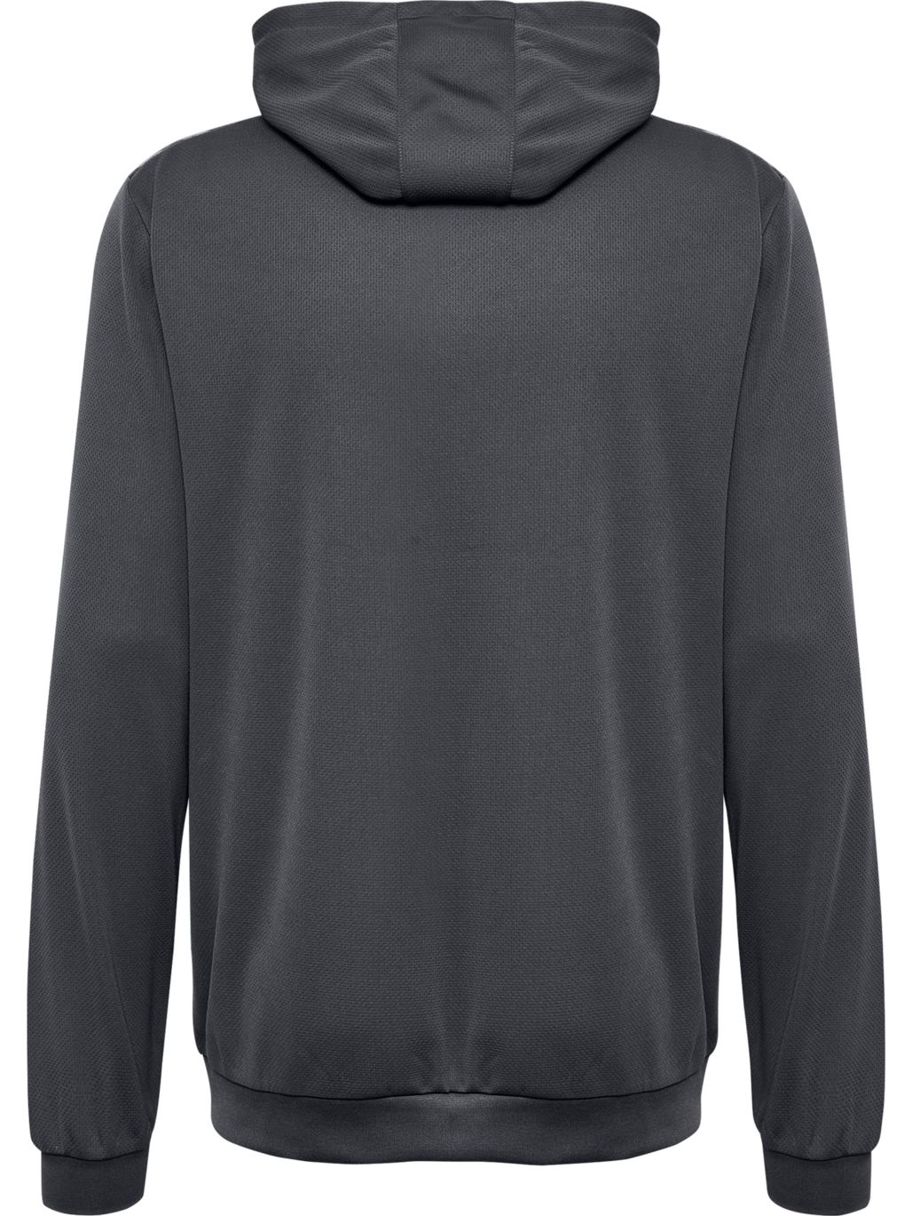 hmlAUTHENTIC PL HOODIE