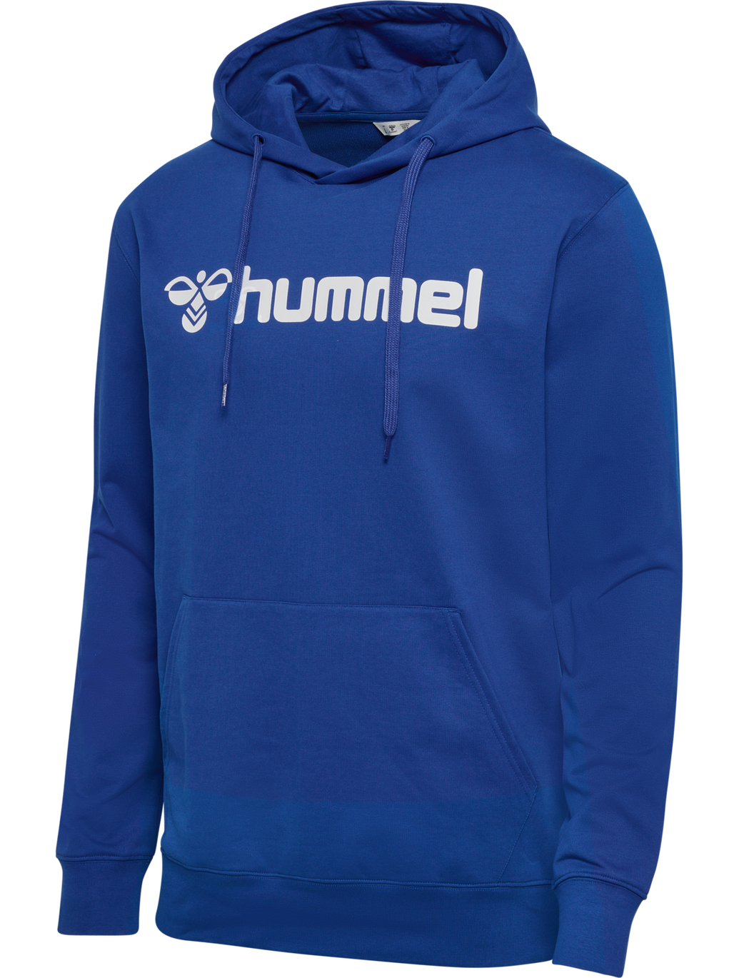 hmlGO 2.0 LOGO HOODIE
