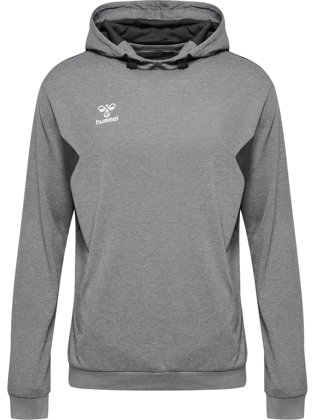 hmlAUTHENTIC PL HOODIE