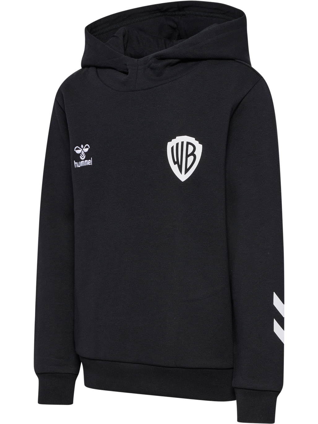 hmlCELEBRATING STORY HOODIE