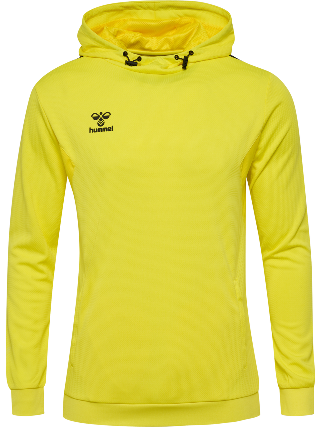 hmlAUTHENTIC PL HOODIE