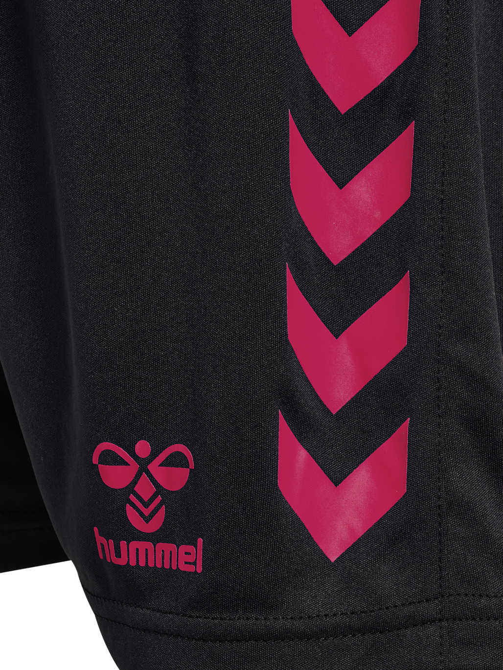 hmlGRAPHIC UNIVERSE SHORTS KIDS