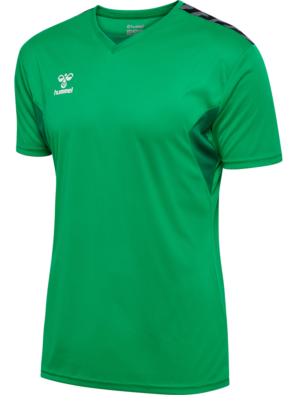 hmlAUTHENTIC PL JERSEY S/S