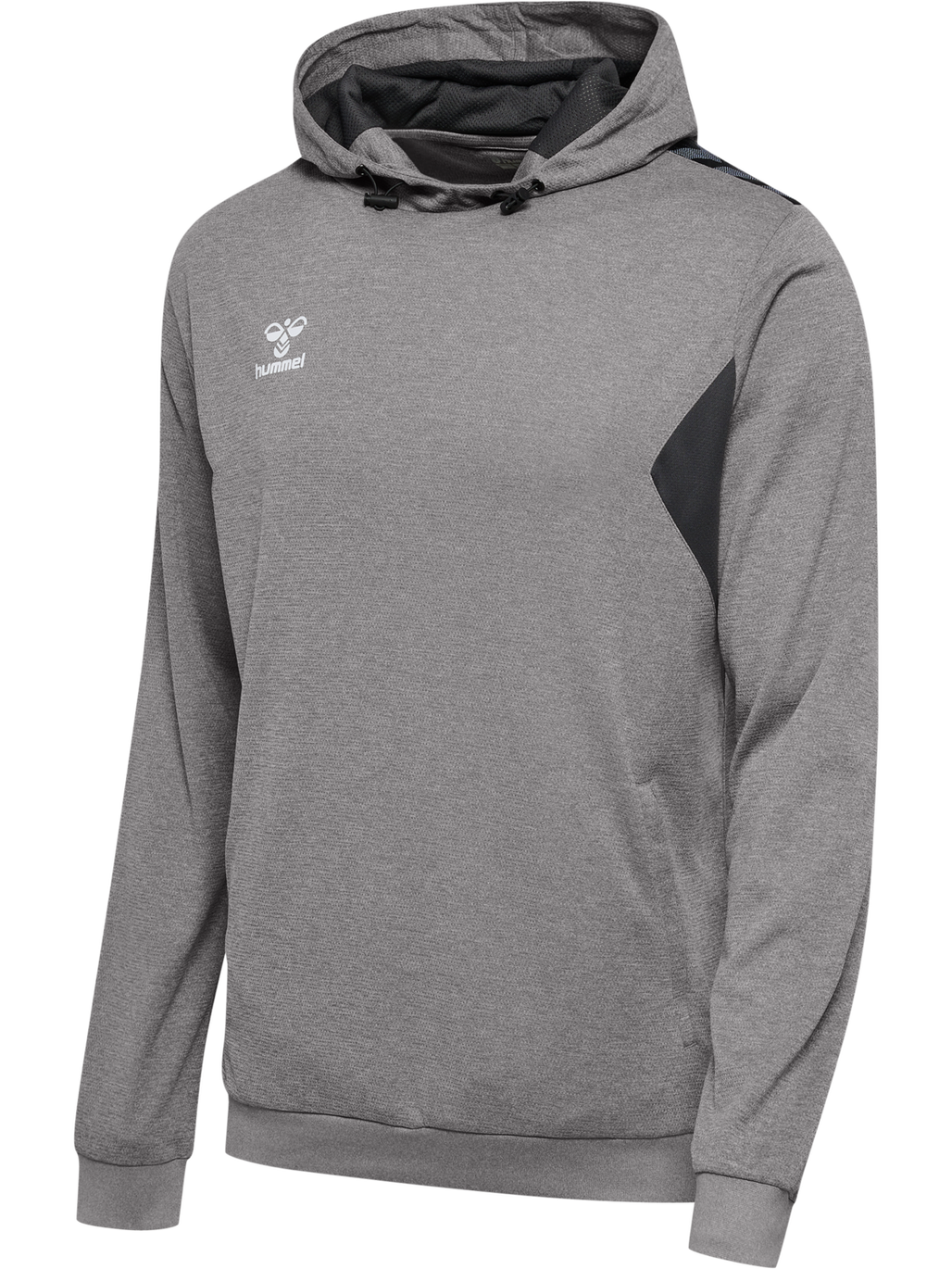 hmlAUTHENTIC PL HOODIE