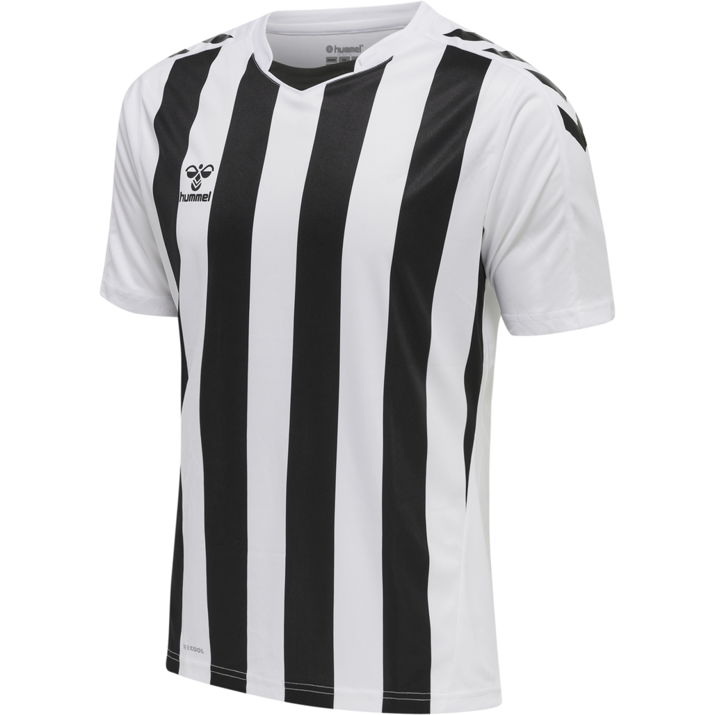 hmlCORE XK STRIPED JERSEY S/S