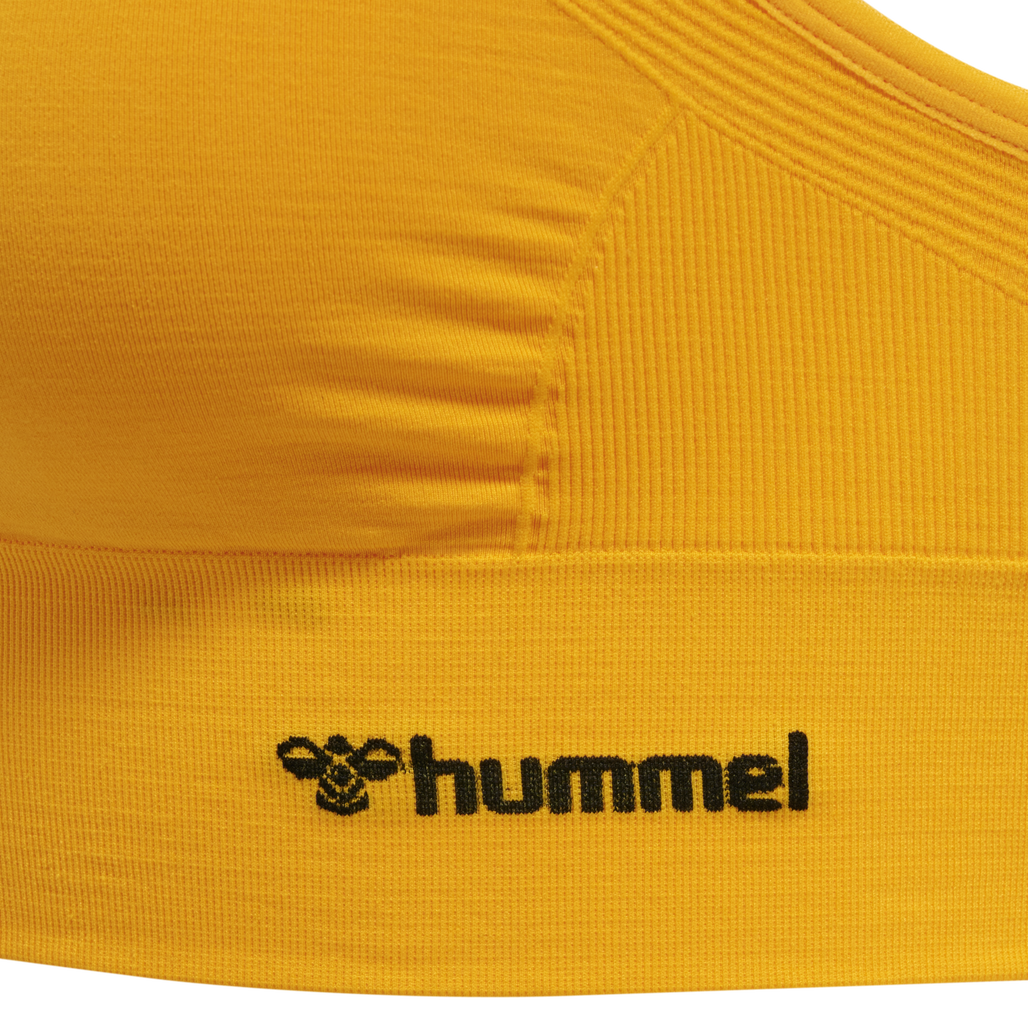 hmlTIFFY SEAMLESS SPORTS TOP