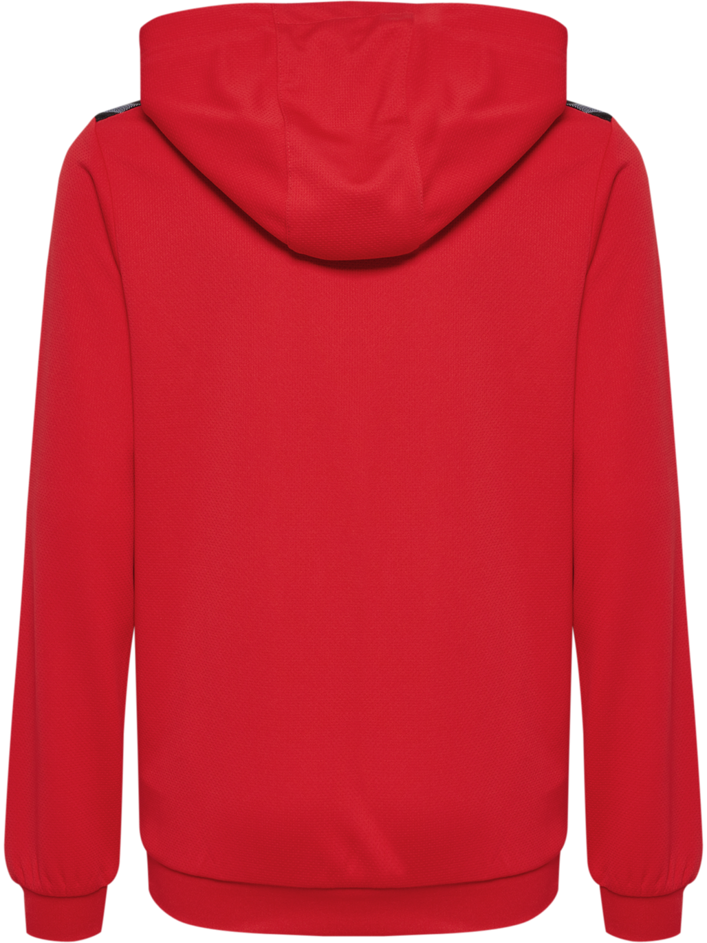 hmlAUTHENTIC PL HOODIE KIDS