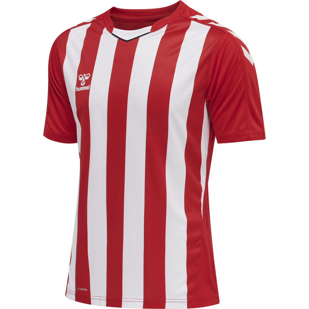 hmlCORE XK STRIPED JERSEY S/S
