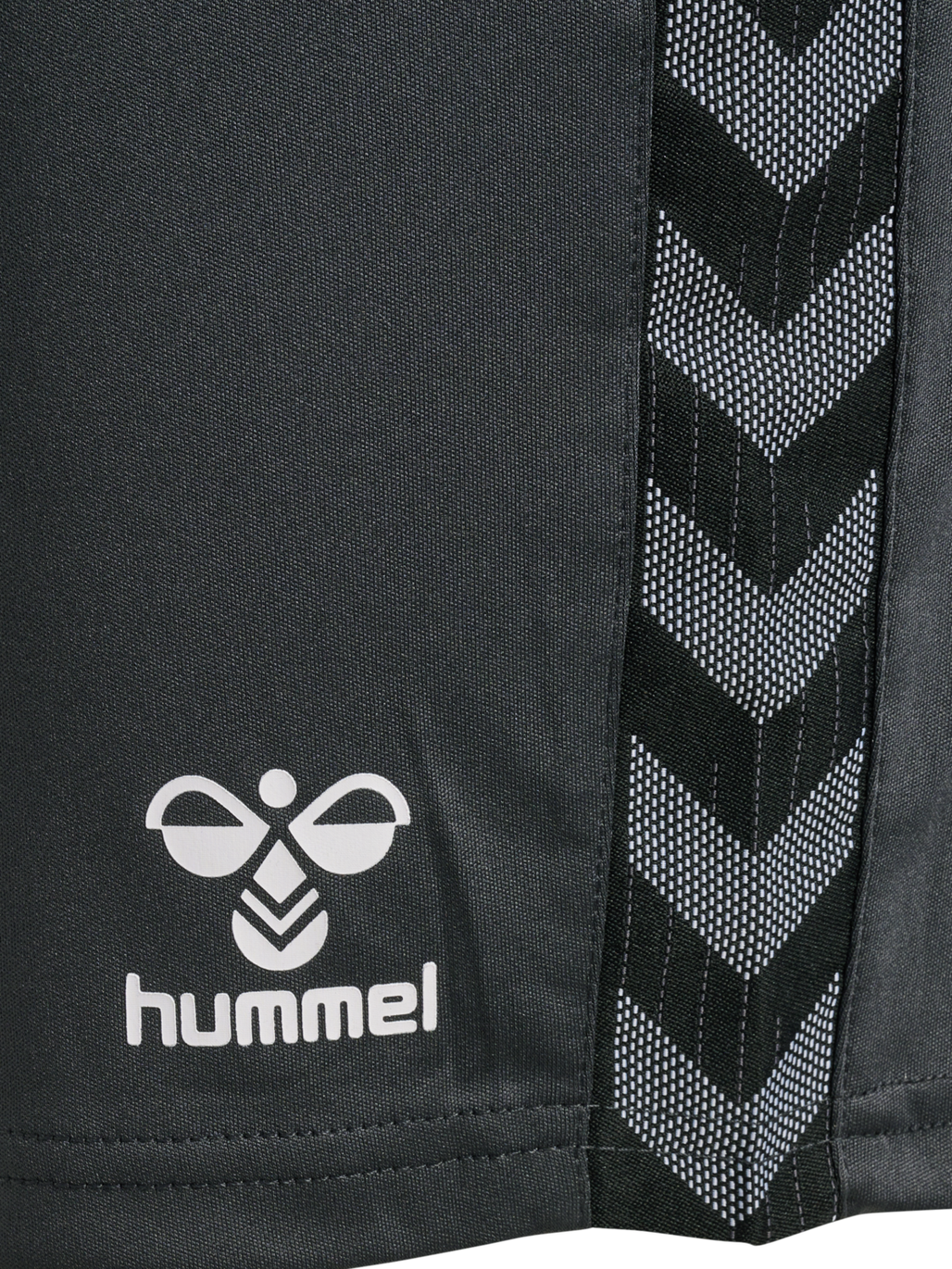 hmlAUTHENTIC PL SHORTS WOMAN