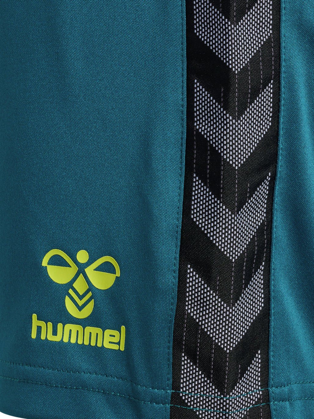 hmlAUTHENTIC PL SHORTS WOMAN